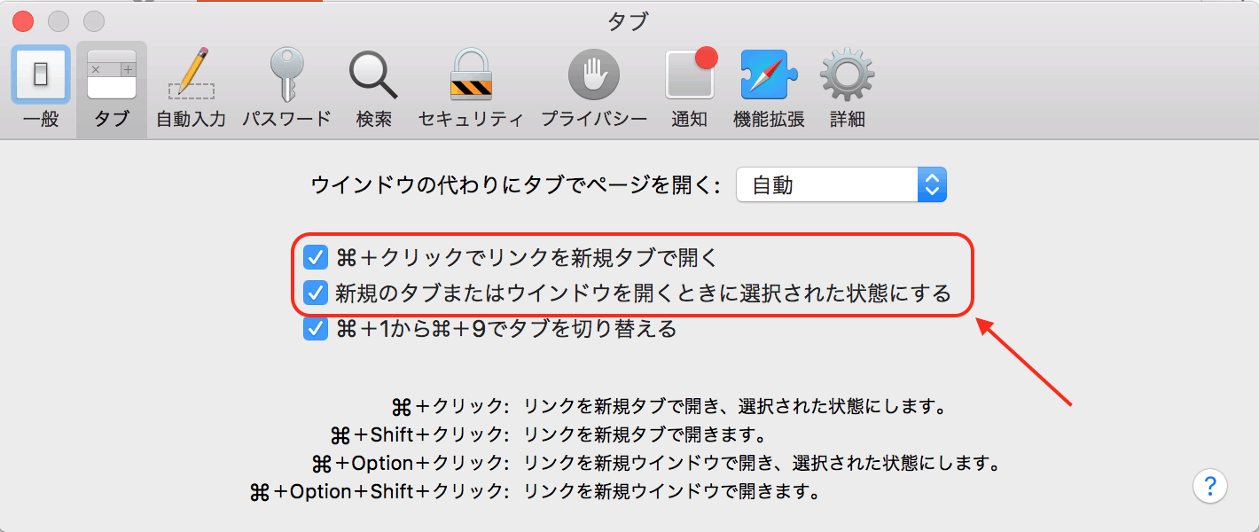 safari設定画面1